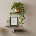 Wooden Wall Shelf for Living Room | Floating Wood Wall Shelves | Set of 3 | Dark Walnut | 40 x 20 cm