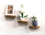 semi circle rustic pine wood floating wall shelves – set of 3